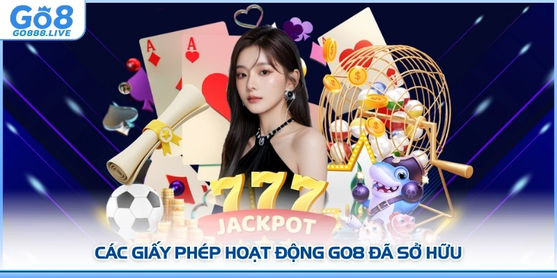 Các giấy phép hoạt động GO8 đã sở hữu