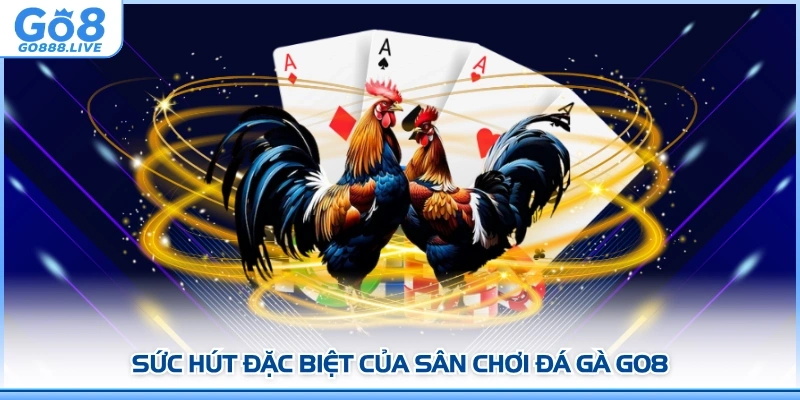 Sức hút đặc biệt của sân chơi Đá gà GO8